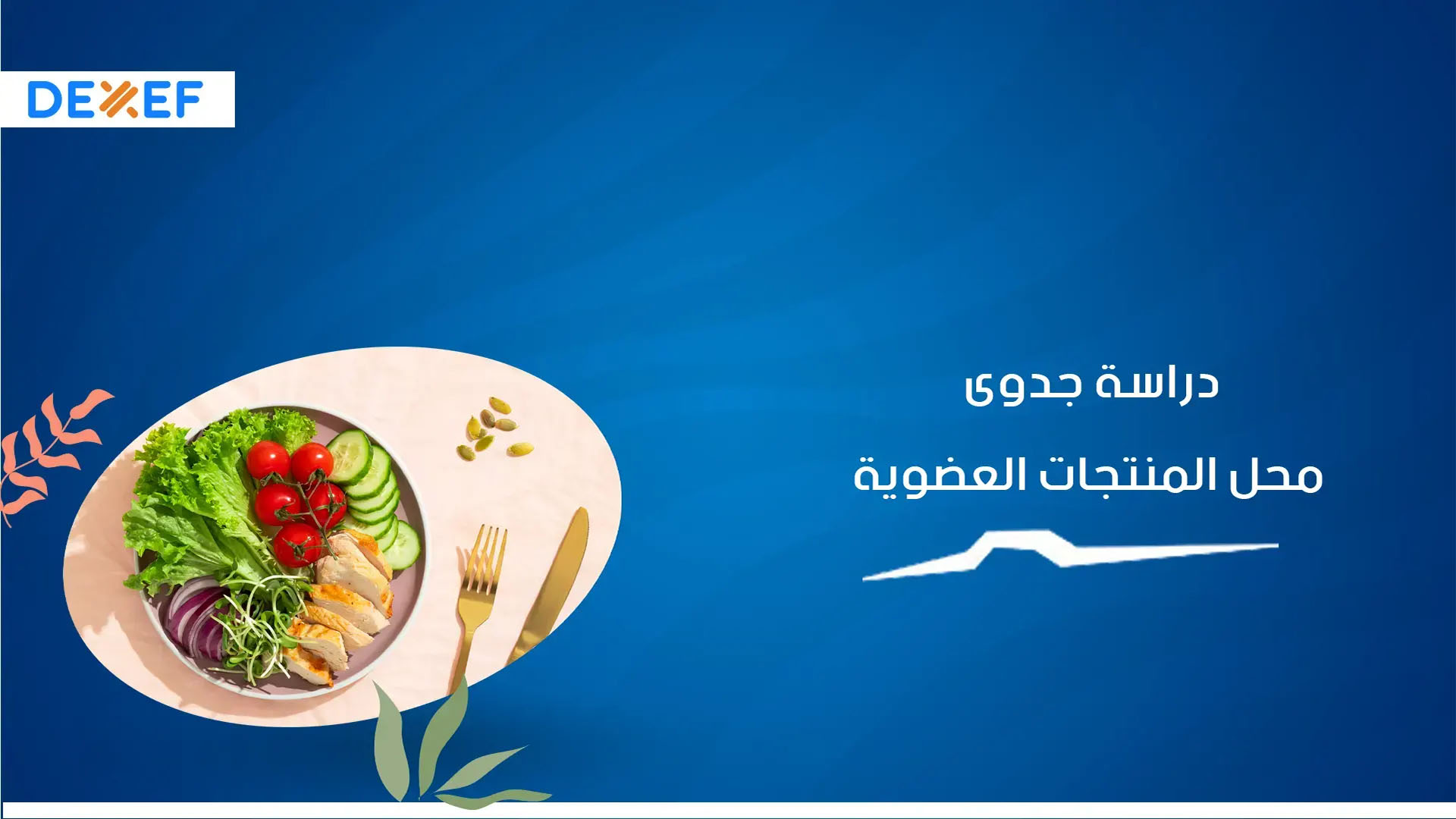 دراسة جدوى محل المنتجات العضوية-01